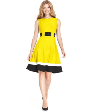 Calvin Klein Colorblocked Belted Fit & Flare Dress