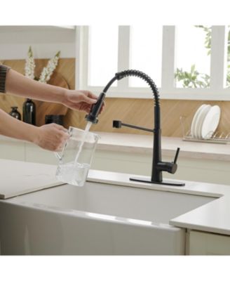 Single-Handle Pull-Down Sprayer 2 Spray High Arc Kitchen Faucet With Deck Plate in Matte Black