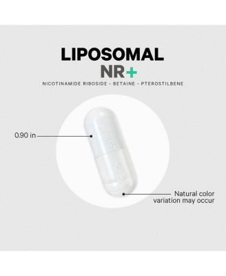 Liposomal Nicotinamide Riboside+ Supplement - 500 mg Nicotinamide Riboside - Betaine Anhydrous, Trans-Pterostilbene - Non-GMO - 60 Capsules