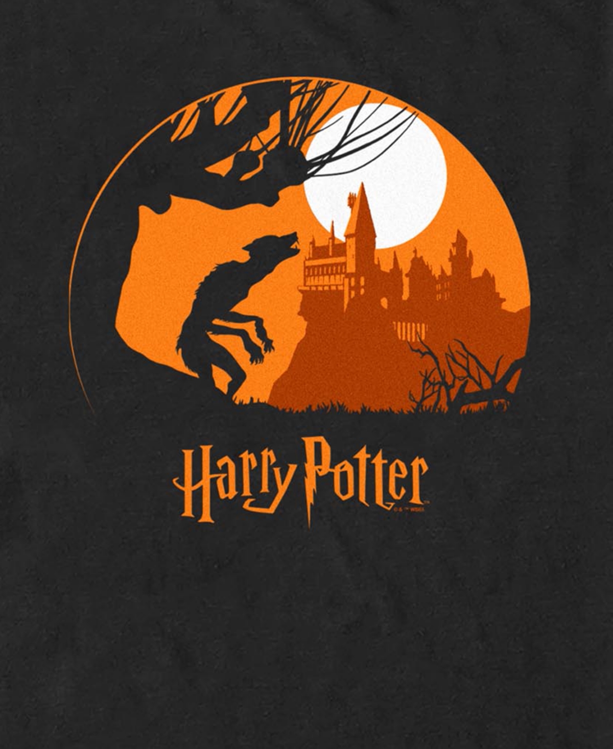 Fifth Sun Men's Harry Potter Deathly Hallows 2 Graphic T-Shirt