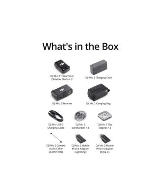 Mic 2 2.4GHz 2-Person Compact Digital Wireless Microphone System/Recorder with Charging Case