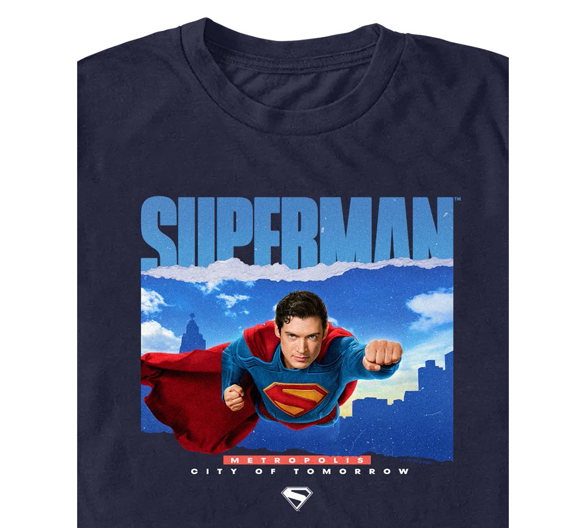 Fifth Sun Men's Superman 2025 Crewneck T-Shirt