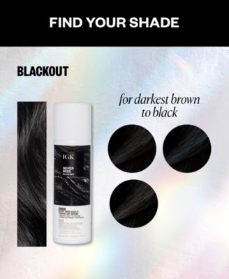 Never Miss Root and Scalp Blackout Touch-Up Spray