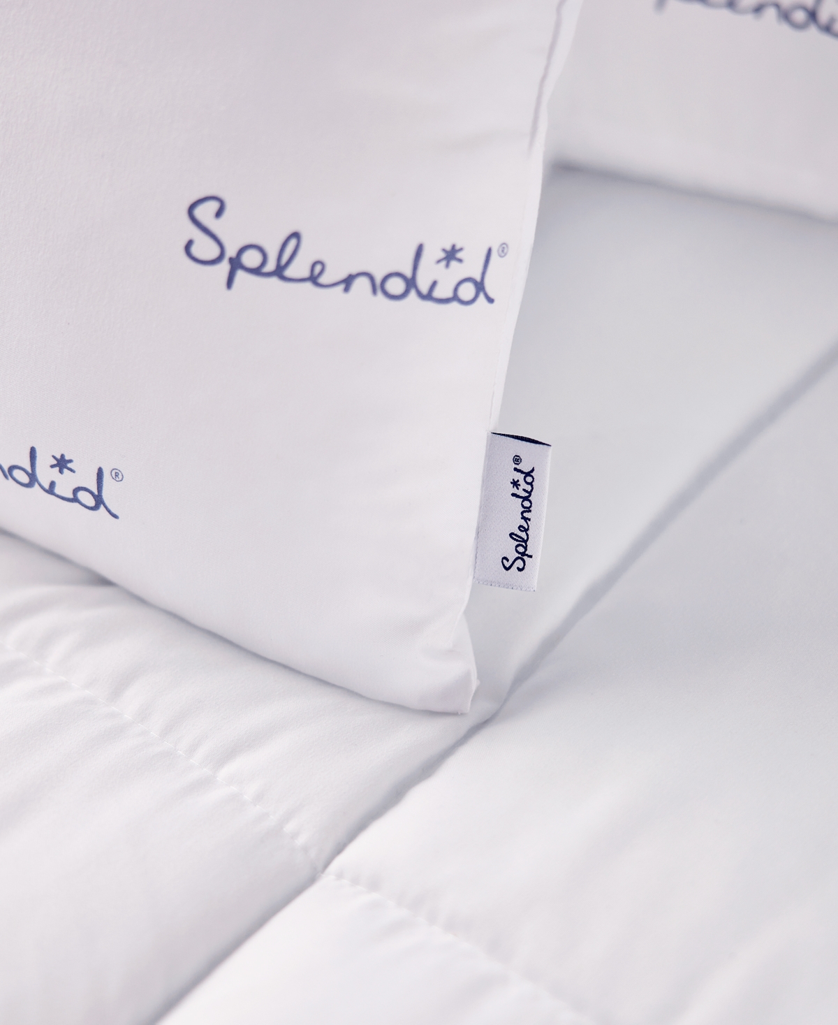 Splendid Medium Density 2-Pack Pillows, Standard