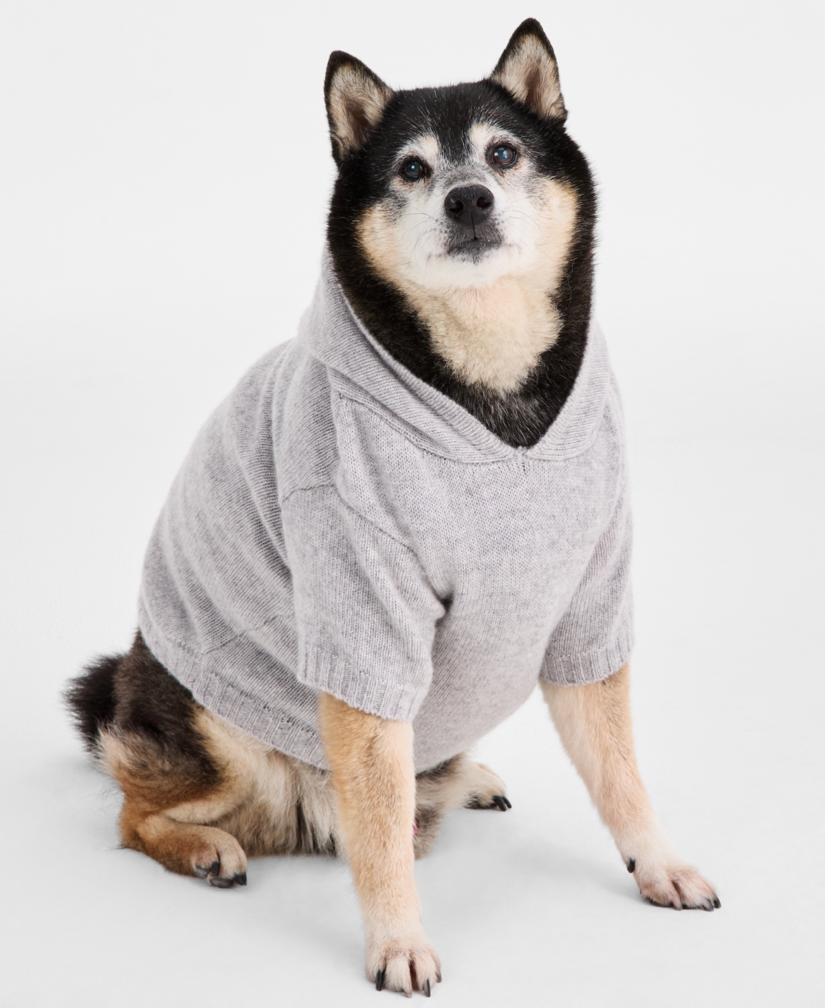 Charter Club Cashmere Solid Hooded Dog Sweater, Macy's Exclusive In Gray