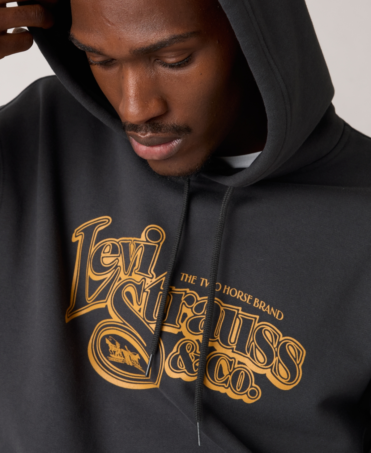 Levi's Men's Relaxed Graphic Long Sleeve Hoodie