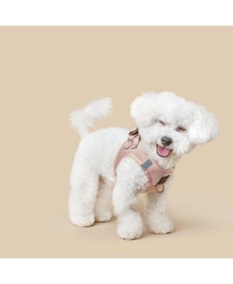 SoHo Dog Harness