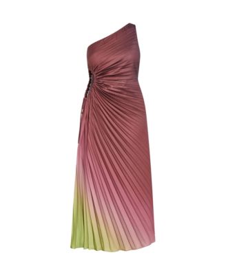 Plus Size Aliza Print Pleat Maxi Dress