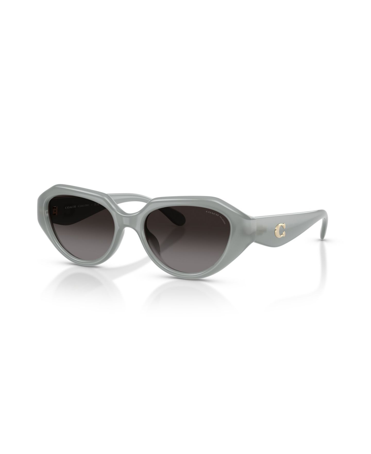Женские солнцезащитные очки Coach Polarized, CBY77 HC8433U, цвет: Milky Eucalyptus — фото 1