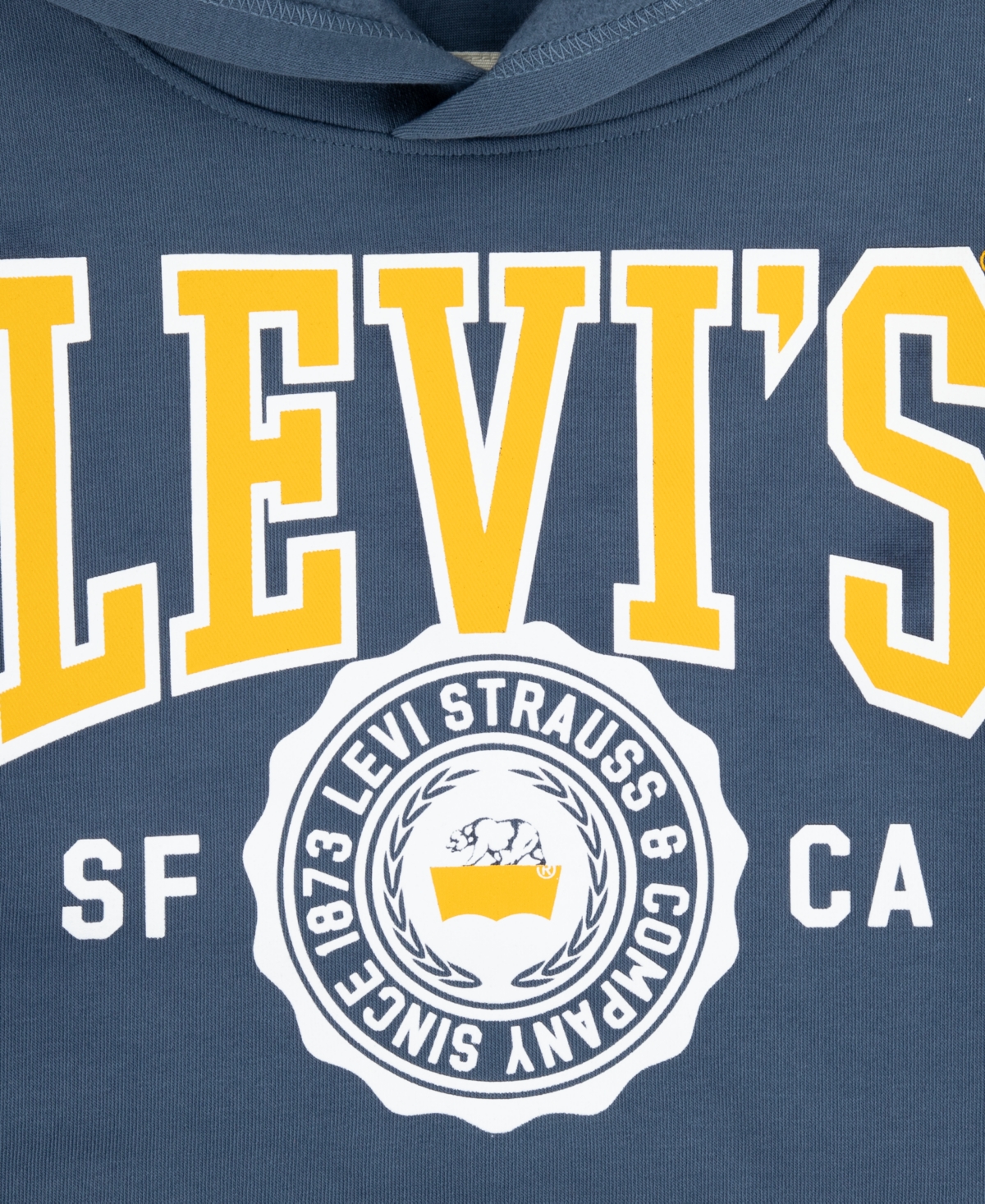 Levi's Boys 8-20 Sporty Long Sleeve Hoodie In Blue