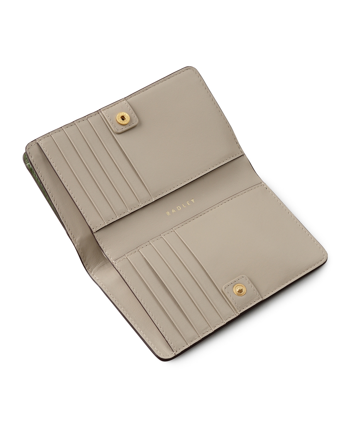 Radley London Magic Carousel Bifold Wallet In Green