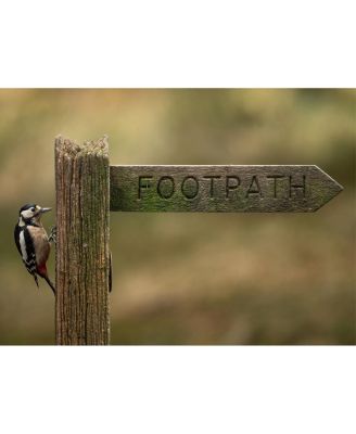 300-600mm f/4 DG OS Sports Lens for Sony E, White