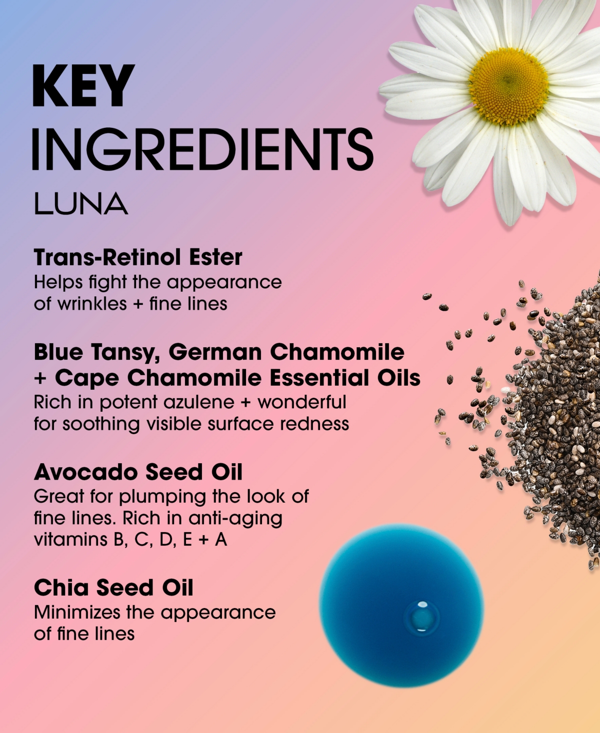 Sunday Riley Day + Night Brighten + Plump Gift Set In Transparent