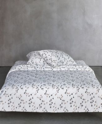 Valerian Graphic Cotton Sham Pair, King