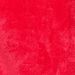 Compass red