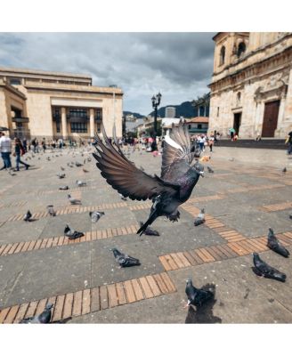 16-30mm f/2.8 Di III VXD G2 Lens for Nikon Z