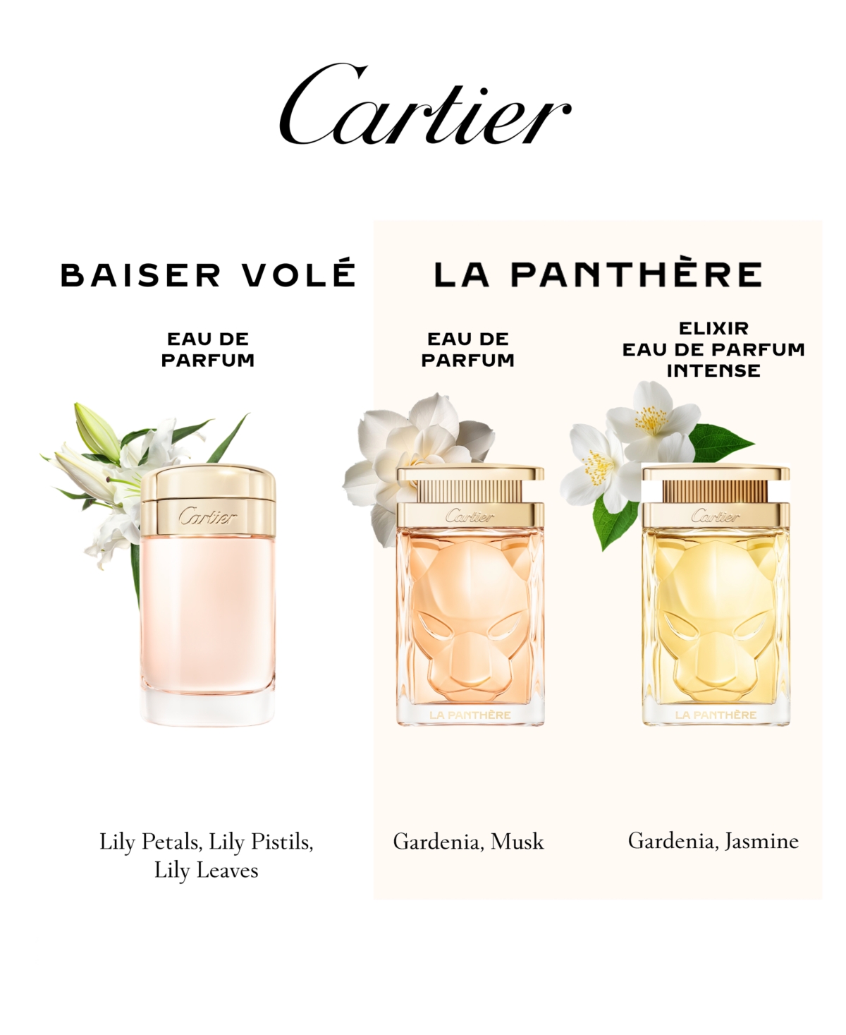 Cartier 3-pc. Eau De Parfum Fragrance Set In Transparent