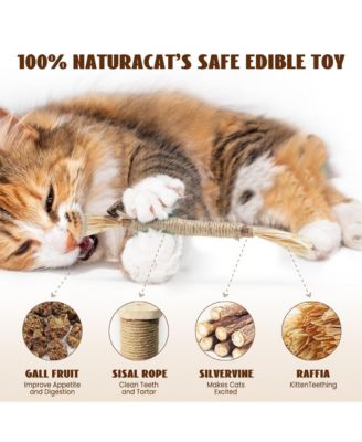 12-in-1 Catnip Playset, Christmas gift, Various Types of Toys for Diverse Gameplay, Interactive Toys Collection for Cats