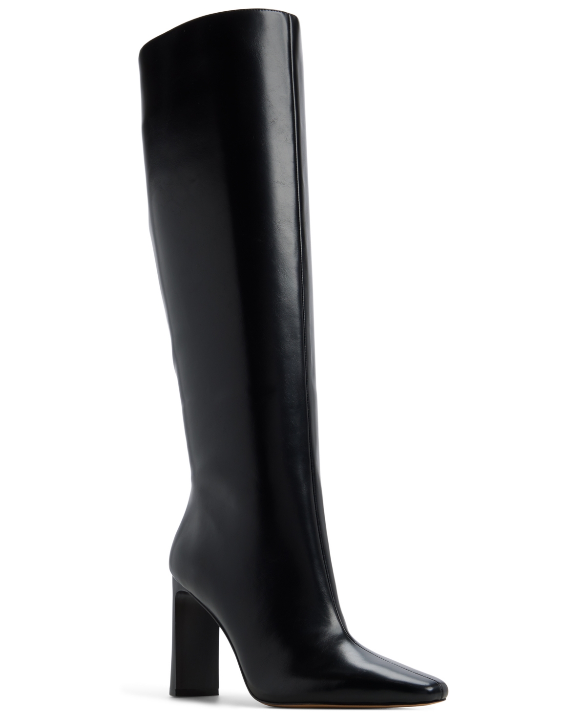 Aldo Women's Elyne Knee High Pointed Toe Boots In Black