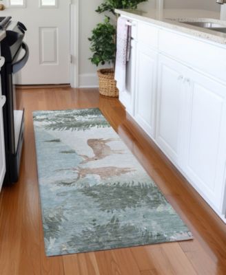 Holiday Washable Indoor/Outdoor ACN1821 2'3"x7'6" Runner Area Rug