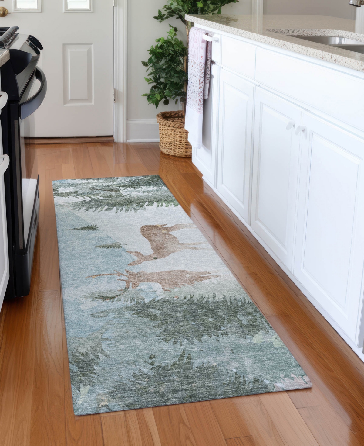 Addison Holiday Washable Indoor/Outdoor ACN1821 2'3"x7'6" Runner Area Rug