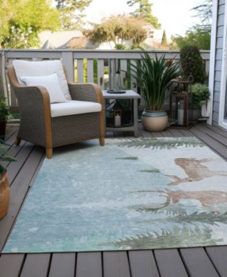 Holiday Washable Indoor/Outdoor ACN1821 5'x7'6" Area Rug