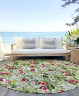 Holiday Washable Indoor/Outdoor ACN1816 8'x8' Round Area Rug