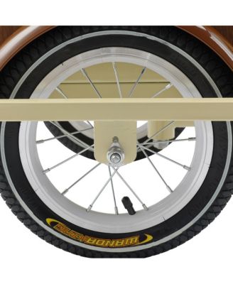 Tricycle for Ladies and Teens with Oversized Front Basket for Pets and Picnic Gear