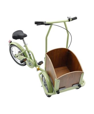 Tricycle for Ladies and Teens with Oversized Front Basket for Pets and Picnic Gear