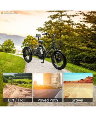 Electric Tricycle E-Trike with 4.0 Fat Tire, 500W Motor & 25-Mile Range for Snow and Rough Roads