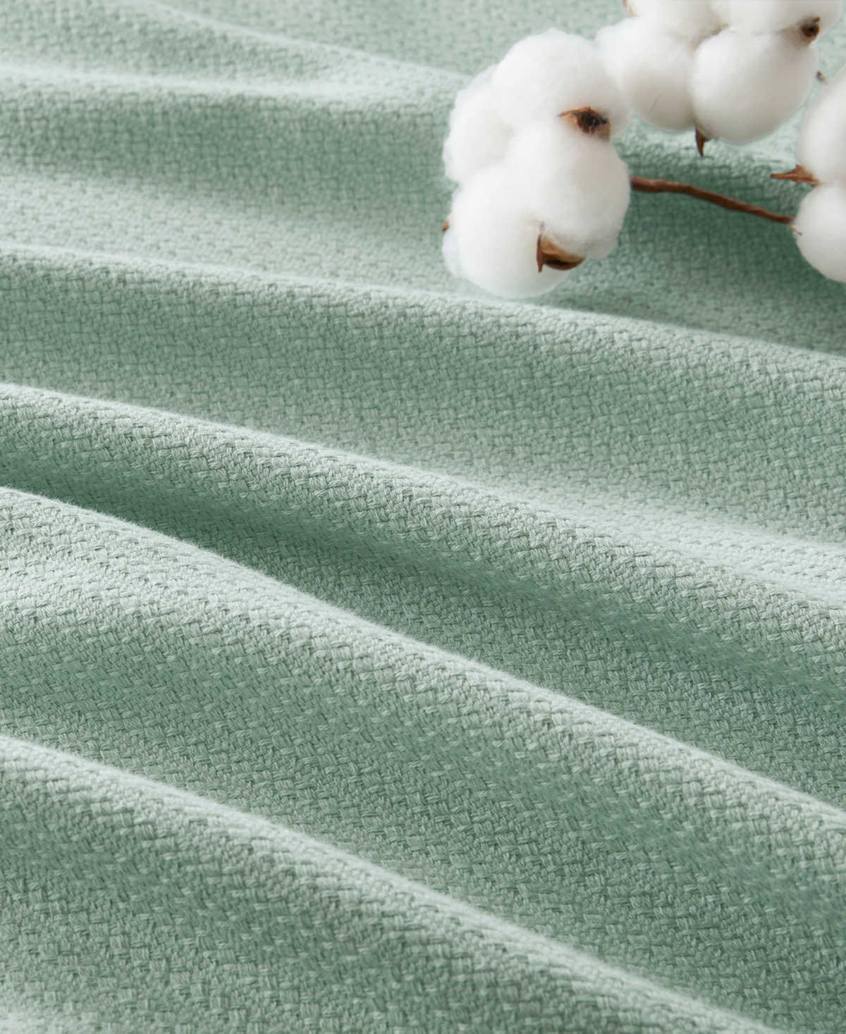 Madison Park Liquid Cotton Blanket