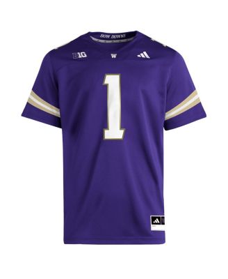 Men's Purple Washington Huskies Premier Jersey