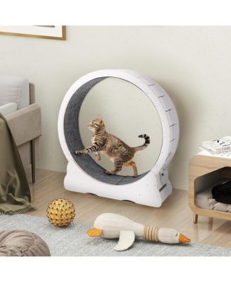 43.3'' Cat Wheel for Indoor Cats
