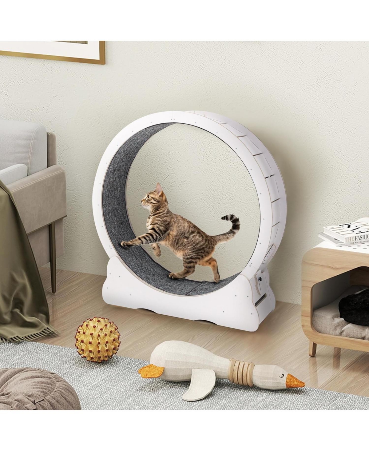 Aecojoy 43.3'' Cat Wheel for Indoor Cats