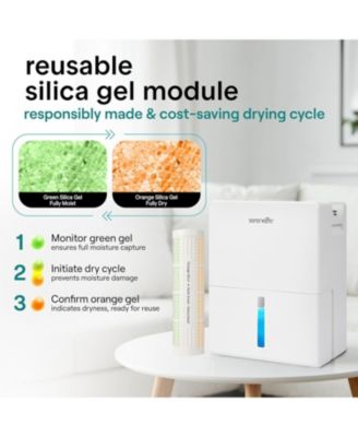 2-in-1 Portable Dehumidifier with Removable Cylinder & Drying Base