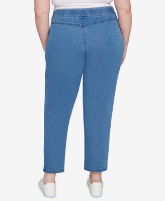 Plus Size Hilton Head Floral Applique Detail Average Length Jeans