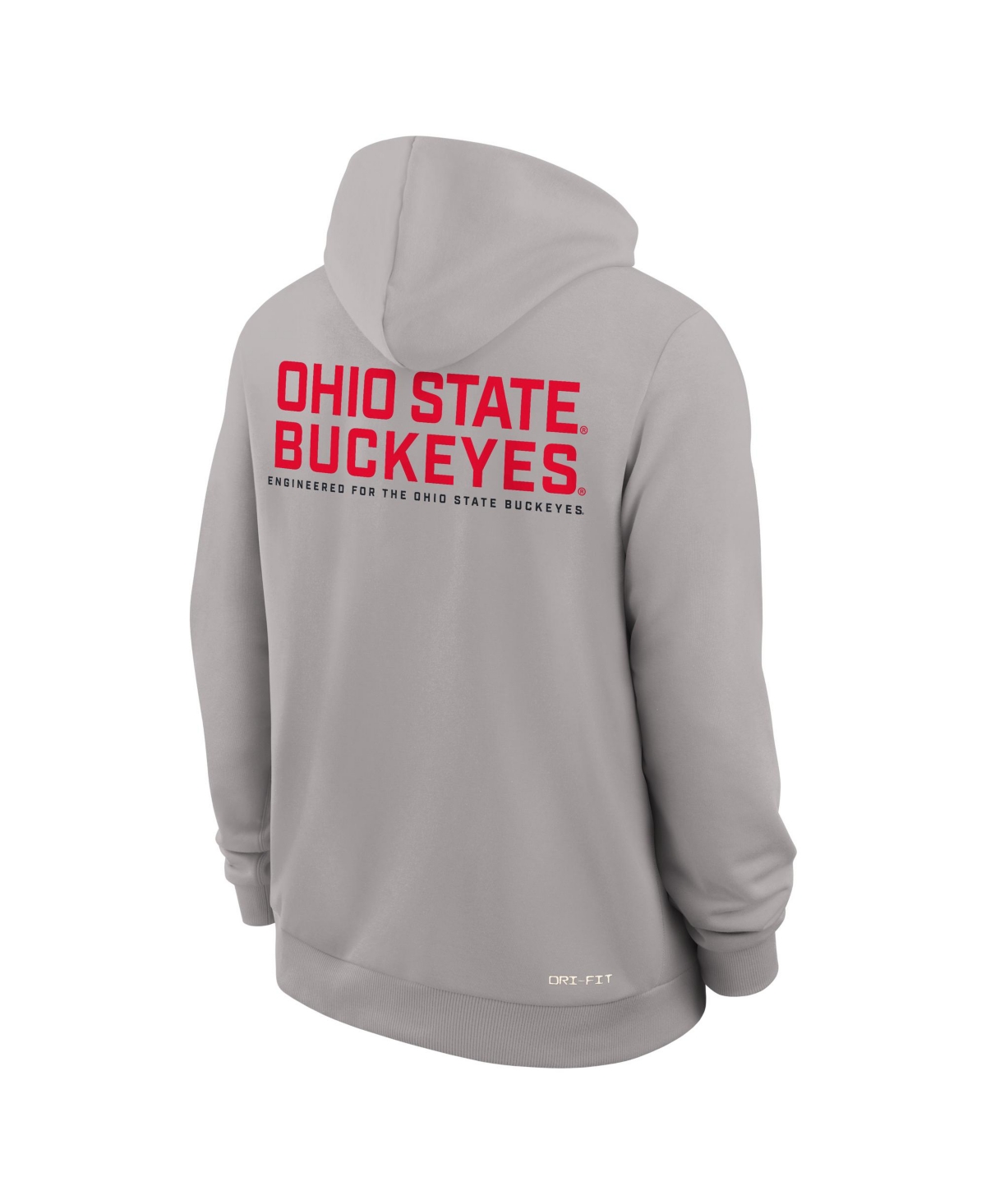 Nike Men's Gray Ohio State Buckeyes 2025 Sideline Standard Issue Dri-fit Full-Zip Hoodie