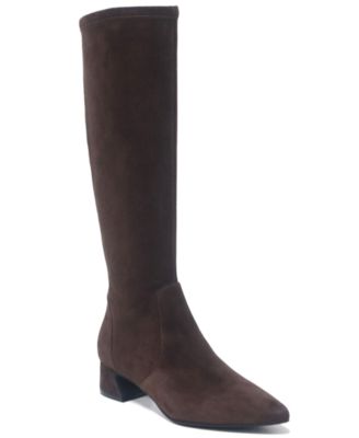 Women's Gallway Pointy Toe Stretch Tall Boots
