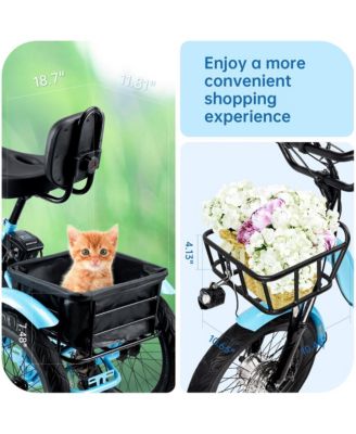 Electric Tricycle E-Trike with 525W Peak Motor, 7-Speed Gearing & 27-Mile Range for Heavy-Duty Cargo Transport