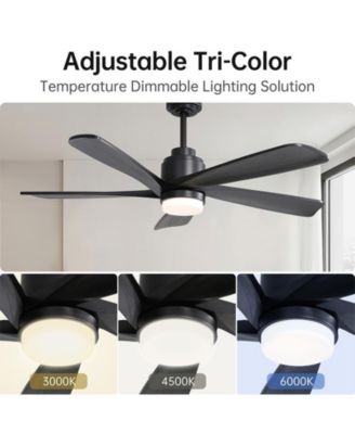 52-inch Modern Stylish Black 5-Blade Ceiling Fan with Remote Control and Light Source