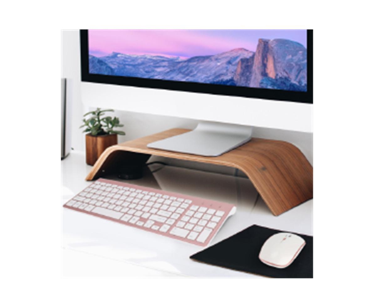 Riso Ultra-Thin Silent Ergonomic Wireless Keyboard and Mouse Combo with Numeric Keys and 2.4G Receiver for Pc and Laptop