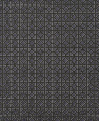 Alaro Window Panel Pair, 50" x 84"