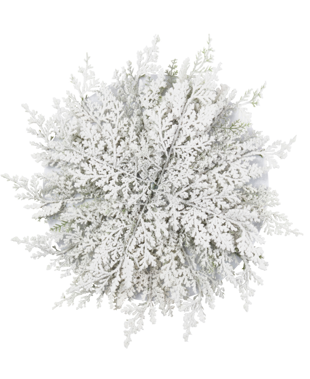 Saro Lifestyle Frosted Pine Placemat, Set Of 4 In White