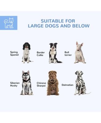 13.4' x 11.5' x 5.6' Dog Kennel Outdoor W/ Lockable Door