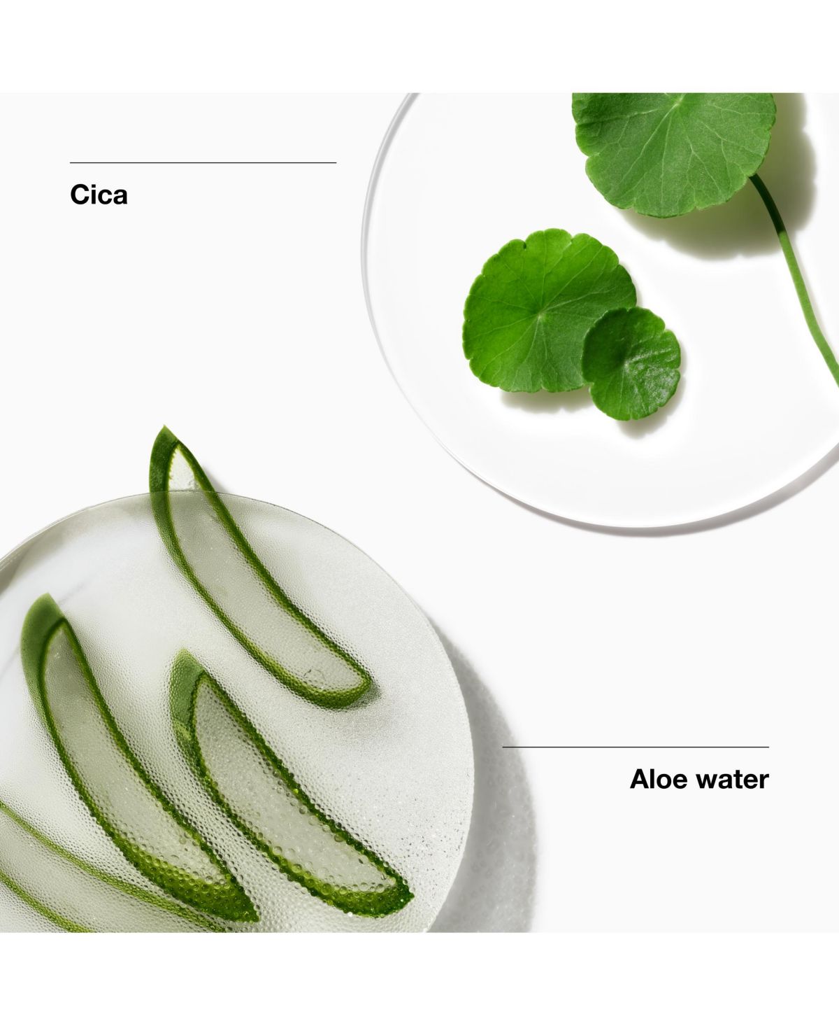 Imagen de producto 3