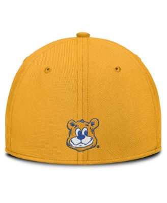 Men's Gold UCLA Bruins Rise Academic Dri-FIT Flex Hat