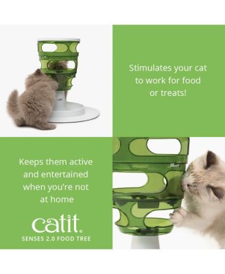 Senses 2.0 Food Tree