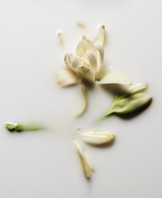 Good Girl Gone Bad Body Lotion, 8.5 oz.