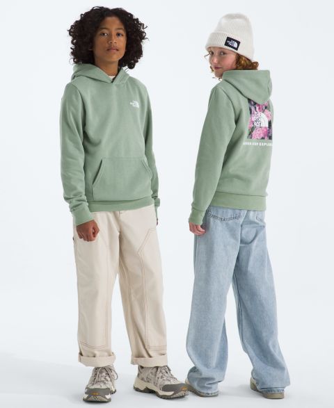 Детское худи The North Face Pull-On Graphic, цвет: Зелёный