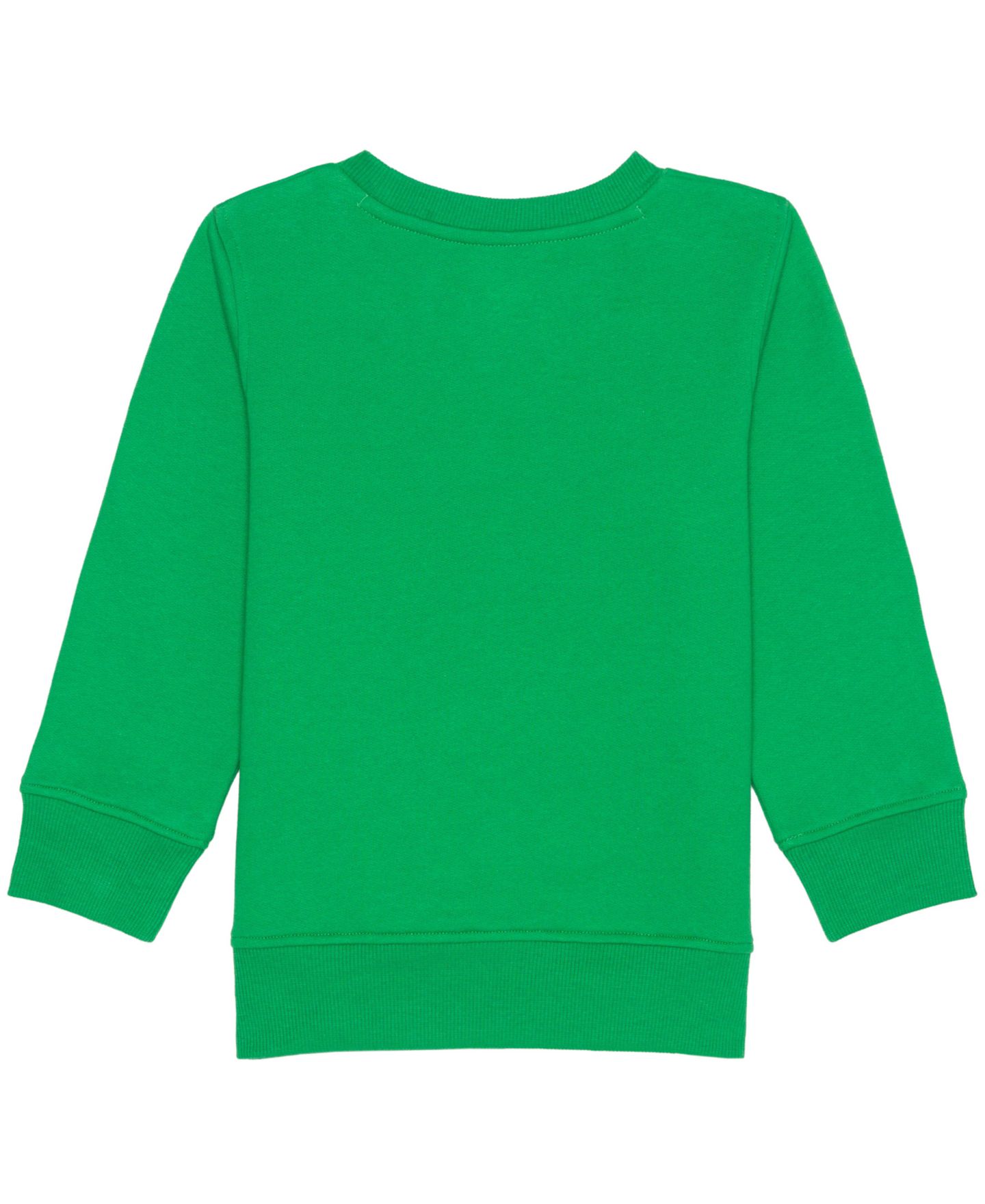 Свитшот Toy Story Rex Crewneck Sweatshirt для мальчиков-малышей, цвет: Зелёный — фото 2